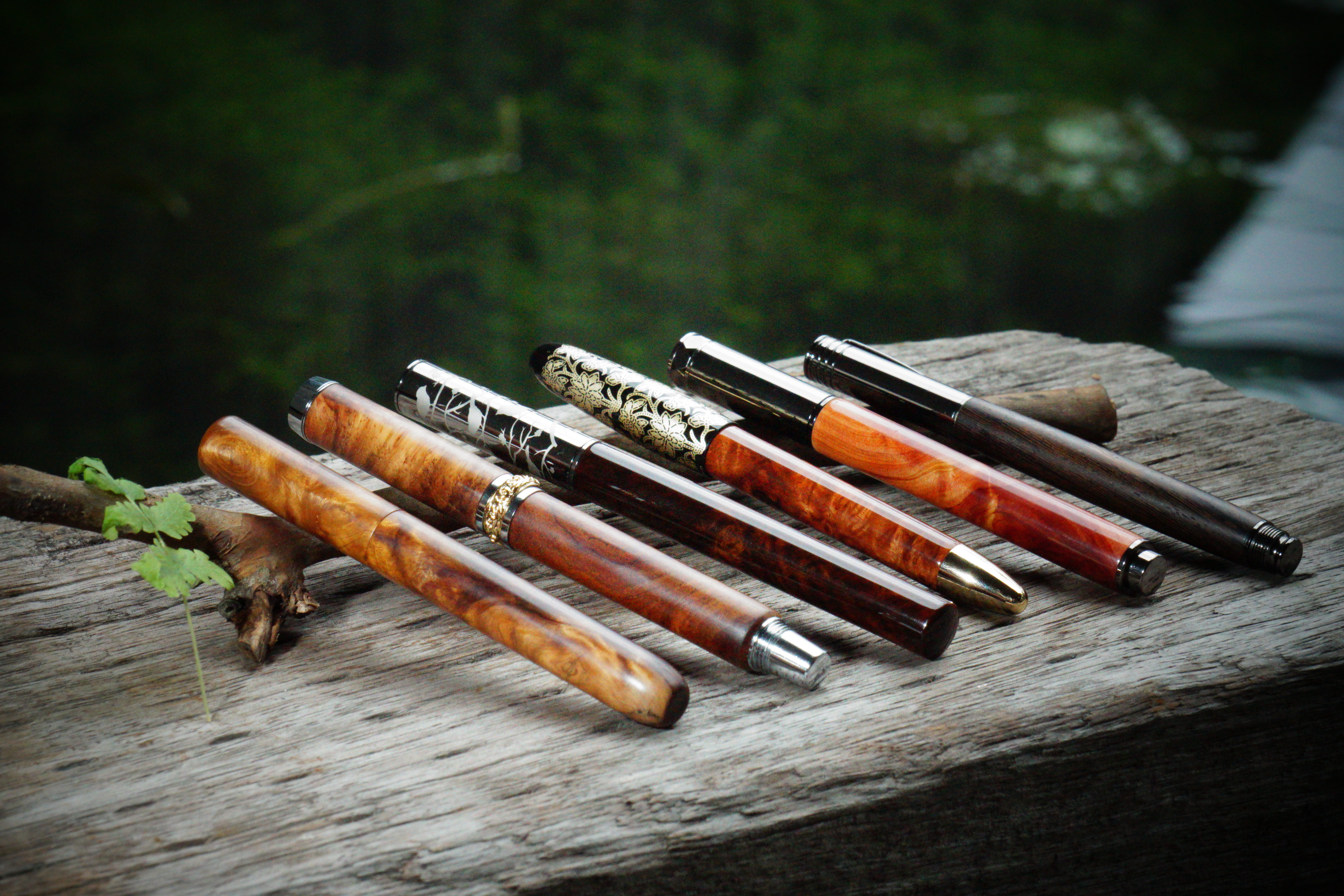 「本草鋼木」噶瑪蘭筆 圖片